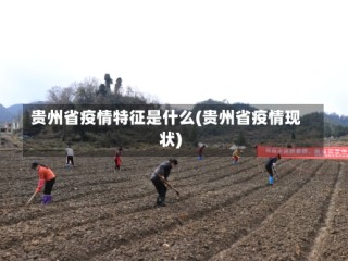 贵州省疫情特征是什么(贵州省疫情现状)