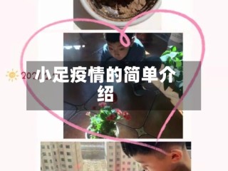 小足疫情的简单介绍