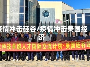 疫情冲击硅谷/疫情冲击美国经济