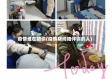 疫情谁在陪你(疫情期间陪伴你的人)