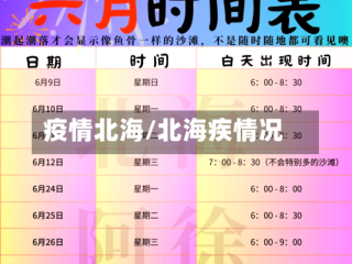 疫情北海/北海疾情况