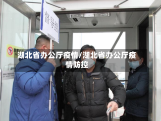 湖北省办公厅疫情/湖北省办公厅疫情防控
