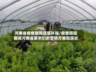 河南省疫情期间蔬菜补贴/疫情防控期间河南省菜农们的营销方案和现状