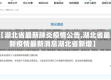 【湖北省最新肺炎疫情公告,湖北省最新疫情最新消息湖北省新增】