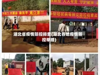 湖北省疫情防控排查(湖北各地疫情防控举措)