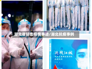 湖北省抗击疫情事迹/湖北抗疫事例