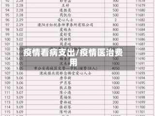 疫情看病支出/疫情医治费用