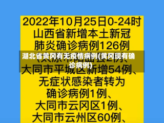 湖北省黄冈有无疫情病例(黄冈现有确诊病例)