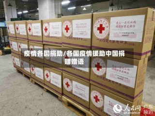 疫情各国捐助/各国疫情援助中国捐赠赠语