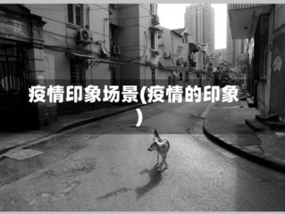 疫情印象场景(疫情的印象)