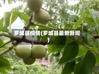 罗城县疫情(罗城县最新新闻)