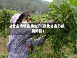 湖北省疫情春耕生产(湖北省春节疫情防控)