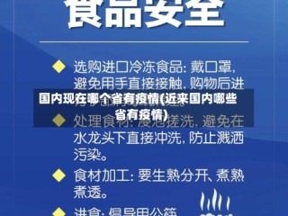 国内现在哪个省有疫情(近来国内哪些省有疫情)