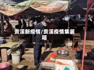 贵溪新疫情/贵溪疫情集装箱