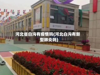 河北省白沟有疫情吗(河北白沟有新型肺炎吗)