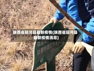 陕西省延河县最新疫情(陕西省延河县最新疫情消息)