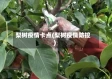 梨树疫情卡点(梨树疫情防控)