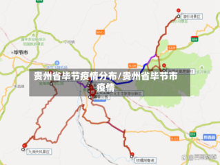 贵州省毕节疫情分布/贵州省毕节市疫情