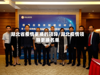 湖北省疫情更换的领导/湖北疫情领导更换名单