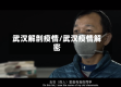 武汉解剖疫情/武汉疫情解密