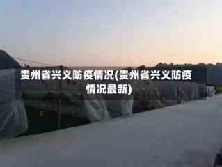 贵州省兴义防疫情况(贵州省兴义防疫情况最新)