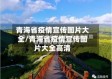 青海省疫情宣传图片大全/青海省疫情宣传图片大全高清