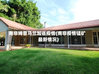 南非姆普马兰加省疫情(南非疫情锰矿最新情况)