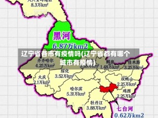辽宁省各市有疫情吗(辽宁省都有哪个城市有疫情)