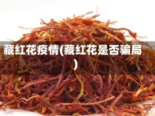 藏红花疫情(藏红花是否骗局)