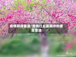 疫情期待重逢/疫情过后最期待的便是重逢