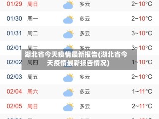 湖北省今天疫情最新报告(湖北省今天疫情最新报告情况)