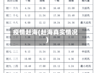 疫情赶海(赶海真实情况)