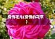 疫情花儿(疫情的花草)