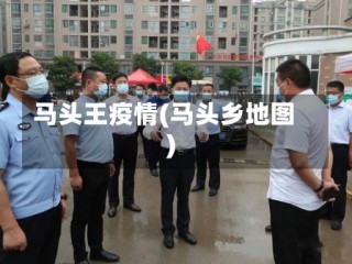 马头王疫情(马头乡地图)