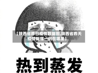【陕西省昨日疫情数据图,陕西省昨天疫情新增一例在哪里】