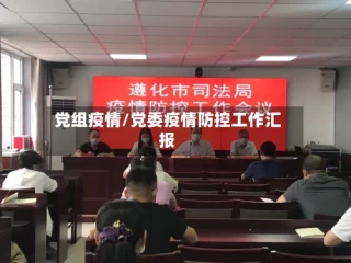党组疫情/党委疫情防控工作汇报