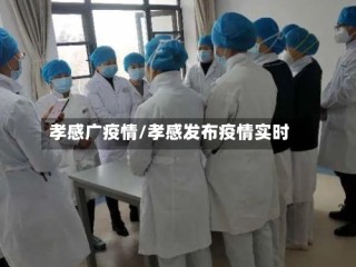 孝感广疫情/孝感发布疫情实时
