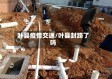 叶县疫情交通/叶县封路了吗