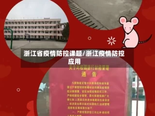 浙江省疫情防控课题/浙江疫情防控应用