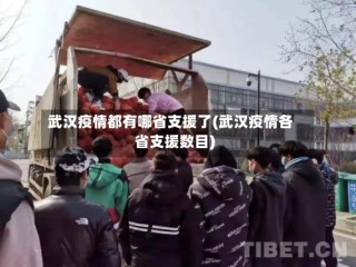 武汉疫情都有哪省支援了(武汉疫情各省支援数目)