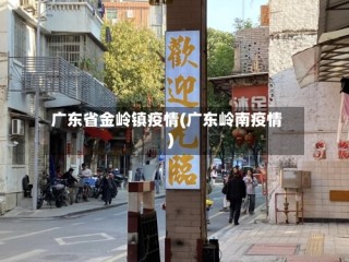 广东省金岭镇疫情(广东岭南疫情)