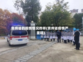 贵州省的疫情情况咋样(贵州省疫情严重吗)