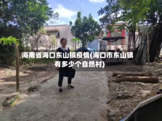 海南省海口东山镇疫情(海口市东山镇有多少个自然村)