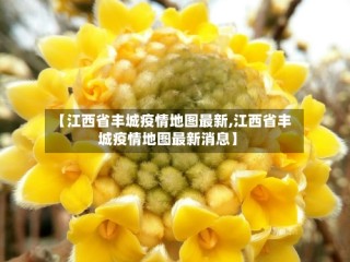 【江西省丰城疫情地图最新,江西省丰城疫情地图最新消息】