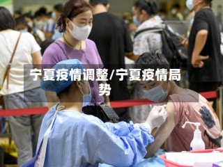 宁夏疫情调整/宁夏疫情局势