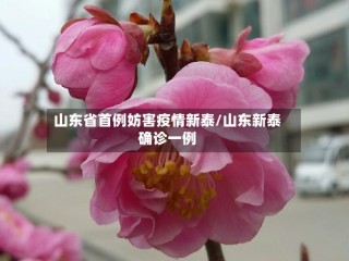山东省首例妨害疫情新泰/山东新泰确诊一例
