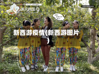 新西游疫情(新西游图片)