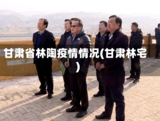 甘肃省林陶疫情情况(甘肃林宅)