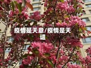 疫情是天意/疫情是天谴