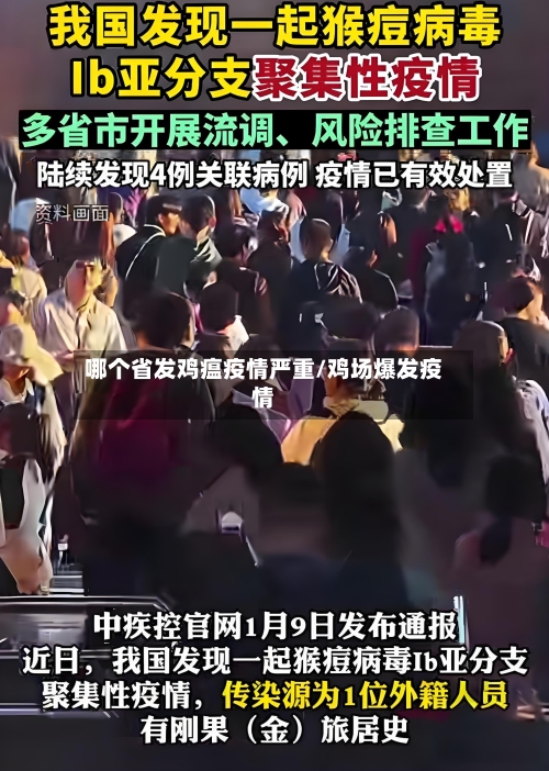 哪个省发鸡瘟疫情严重/鸡场爆发疫情-第1张图片